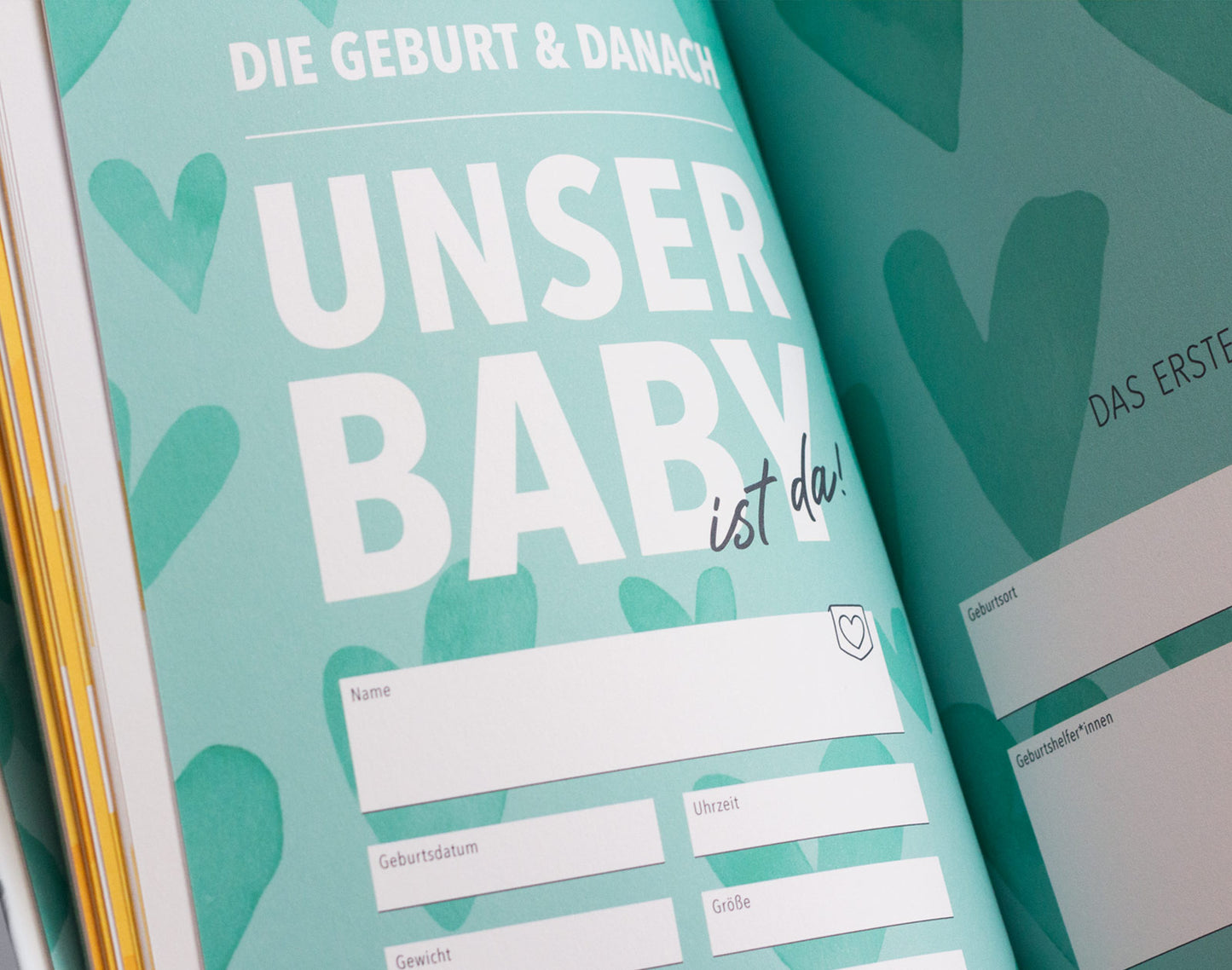 Seite aus dem Kapitel Geburt des Buchs "Wir zwei werden Mamas". Auf dieser Seite können die Geburtsdaten des Babys eingetragen werden.