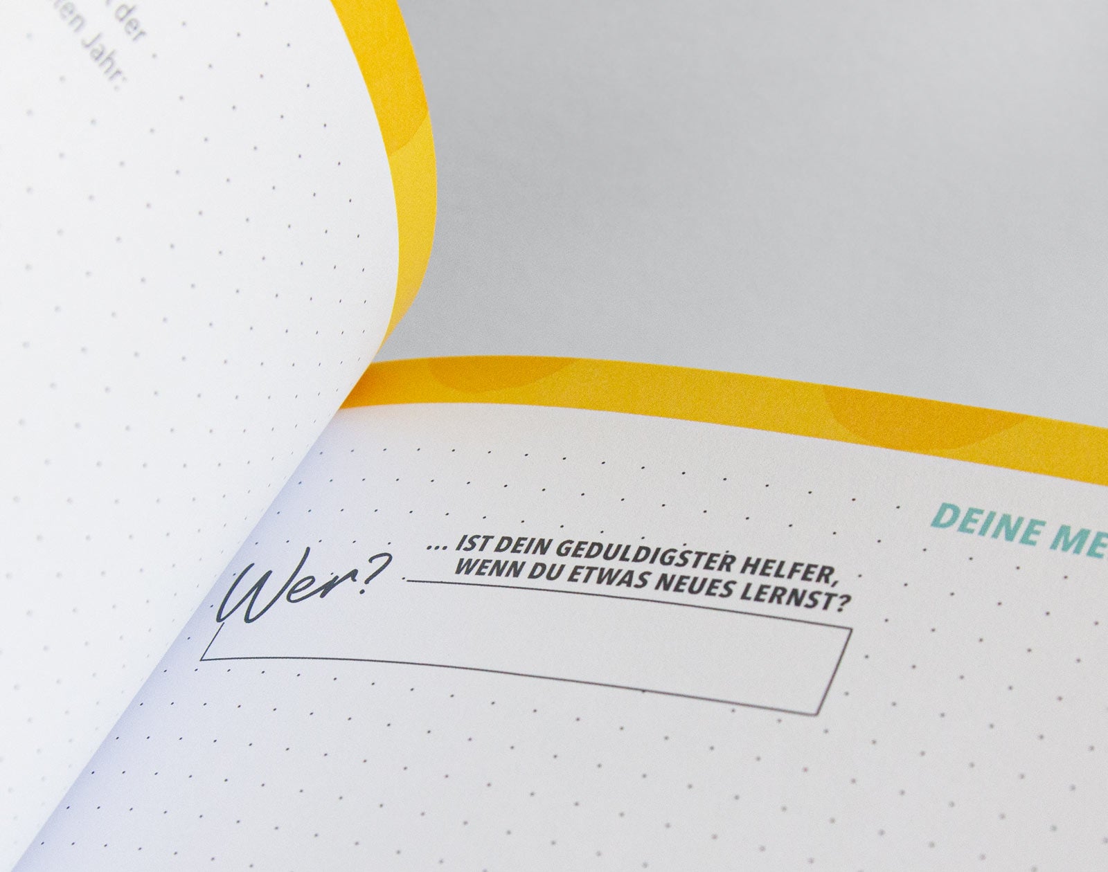 Detailfoto des Albums "Dein erstes Jahr"